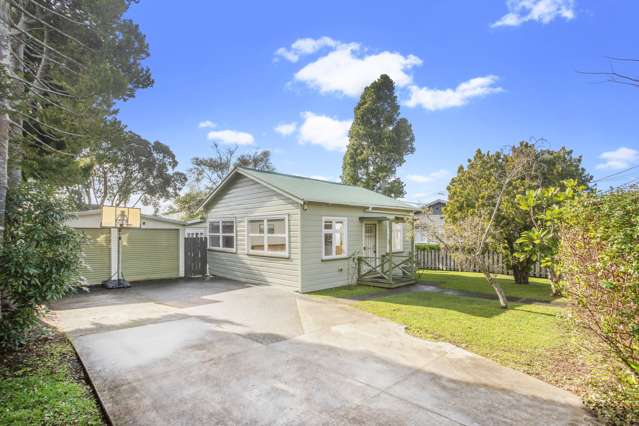 19 Rimu Street New Lynn_1