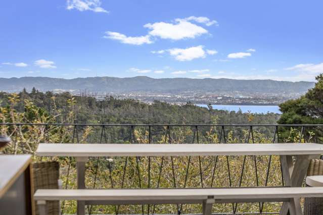 20 Waipa Street Birkenhead_2