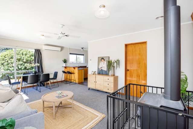 172 McMurdo Street Tinwald_2