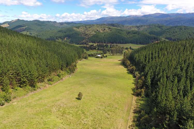 739 Tadmor-Glenhope Road Kahurangi National Park_18