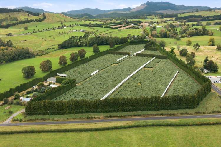 79 Woodlands Road Waihi Beach_7