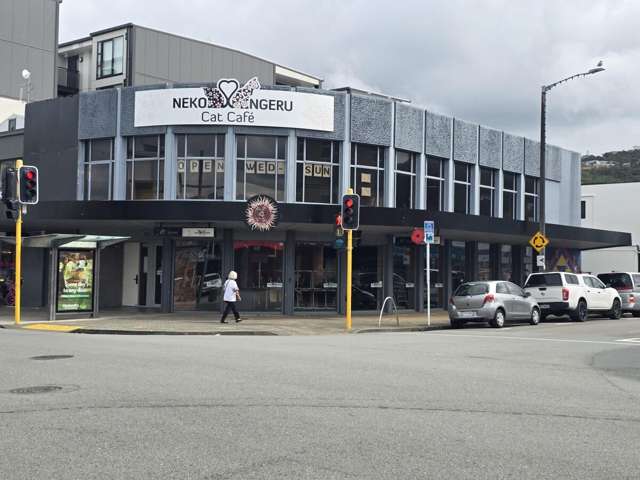 215 High Street Lower Hutt_4