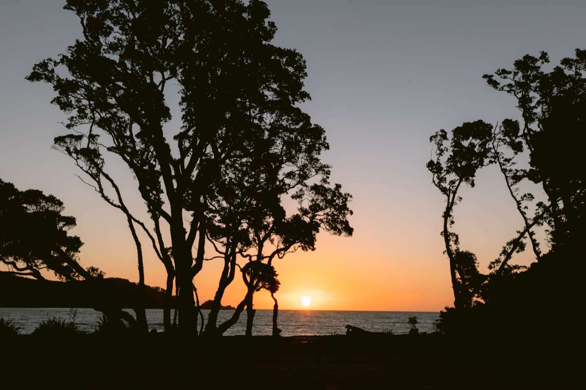 11 Mulberry Grove Road Great Barrier Island_0