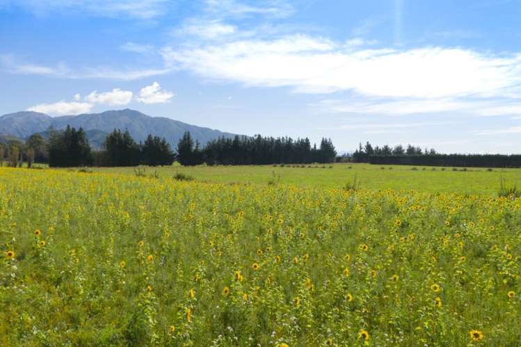 793 Peel Forest Road Mesopotamia_21