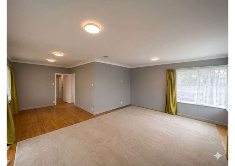 Plunket Avenue Papatoetoe_1