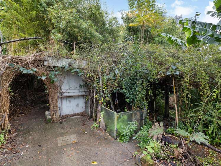 12 Galway Avenue Hamilton East_9