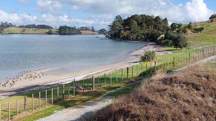 140 Beatson Road Whakapirau_66