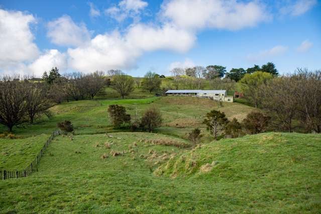 164 Arcadia Road Paparoa_3