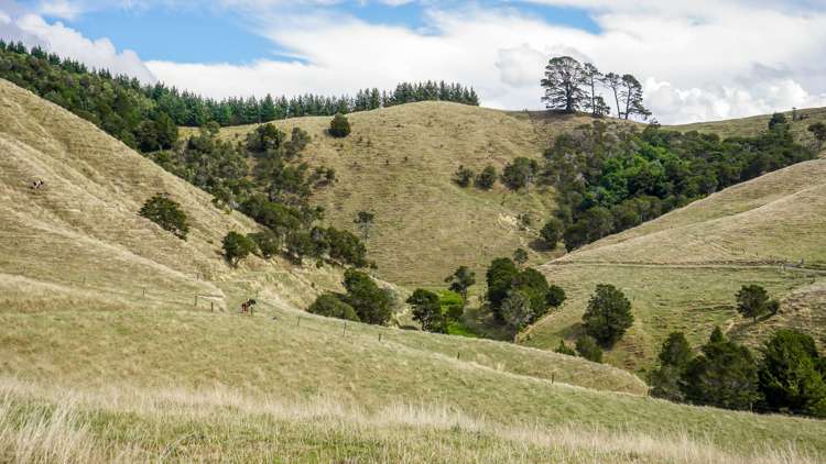 2586 State Highway 2 Maramarua_11