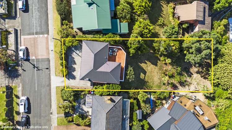 65 Carlton Street Hillsborough_3