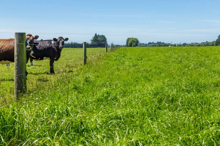 30 Tippings Road Cust_14