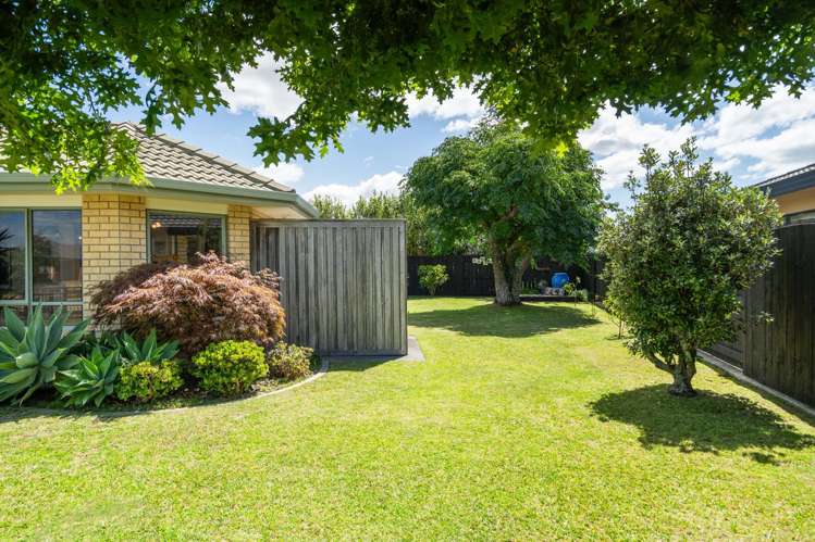 20 Francevic Avenue Mount Maunganui_24