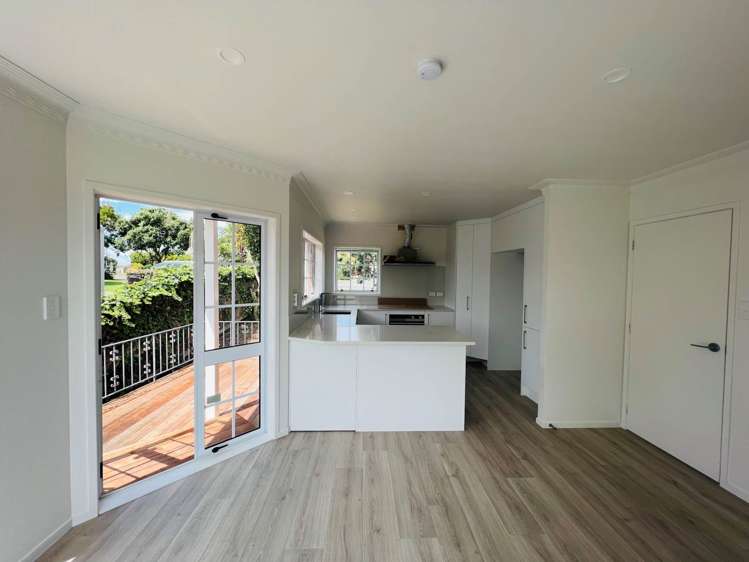 169 Norman Lesser Drive Remuera_8