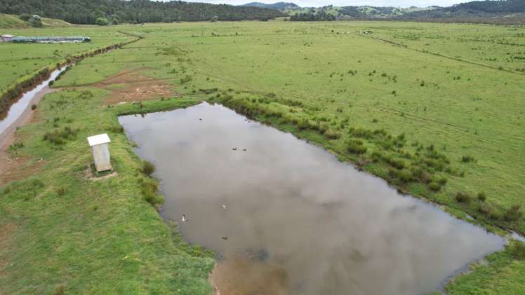 Matawera Road Kohukohu_6