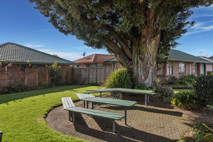 5 Totara Park Whakatane_13