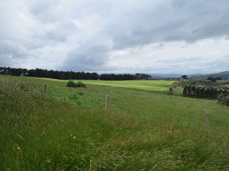 278 Jacks Bay Road Catlins Surrounds_6