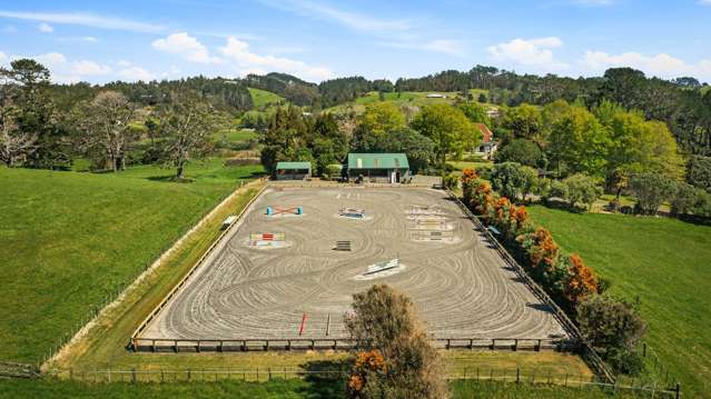 328 Horseshoe Bush Road Dairy Flat_2