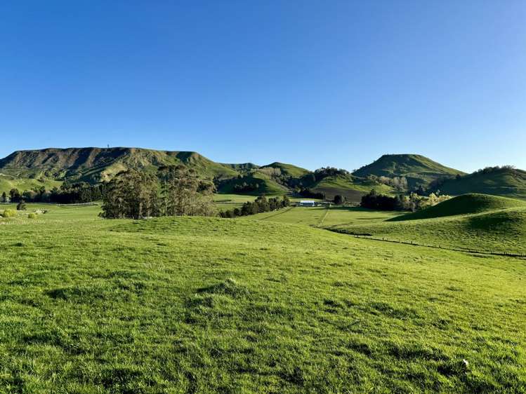 515 Ruanui Road Taihape_20
