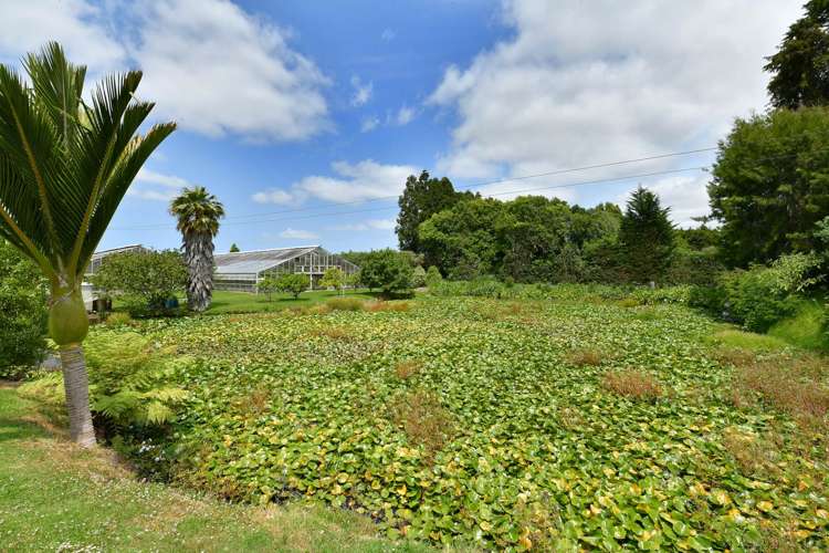 203 Riverhead Road Kumeu_10
