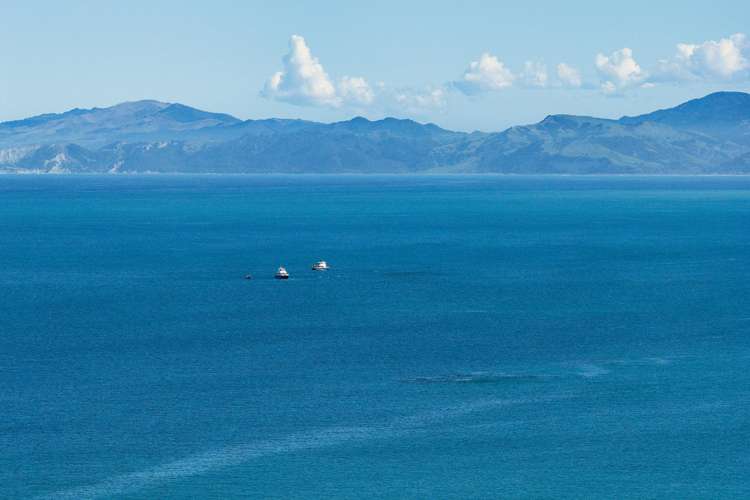 40 State Highway 1 Kaikoura Surrounds_46