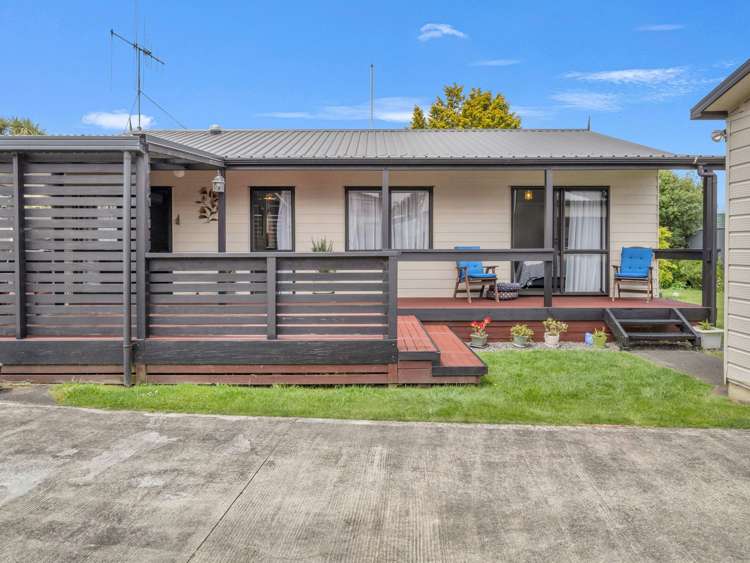 21a chester street Levin_1