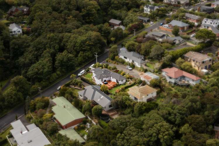 50 Every Street Andersons Bay_42