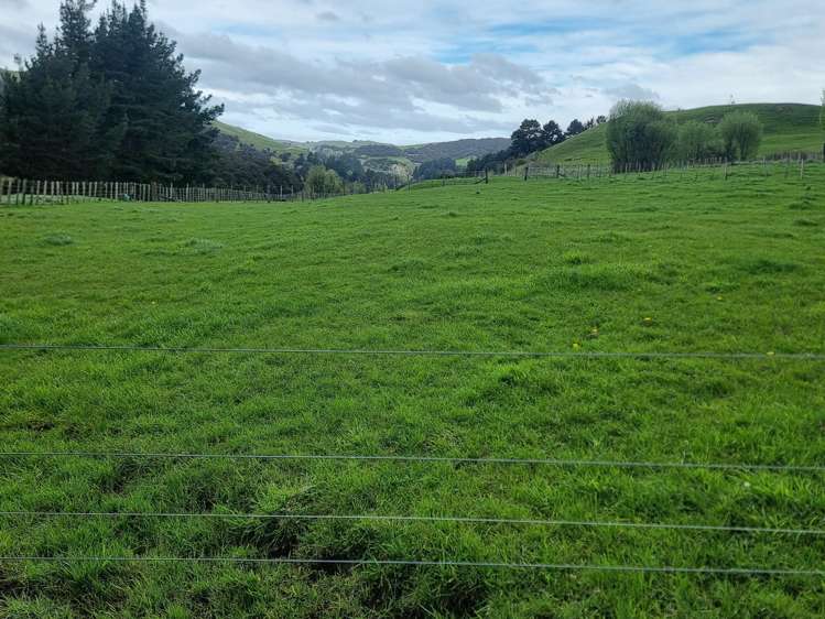 3345A Weber Road Dannevirke_32