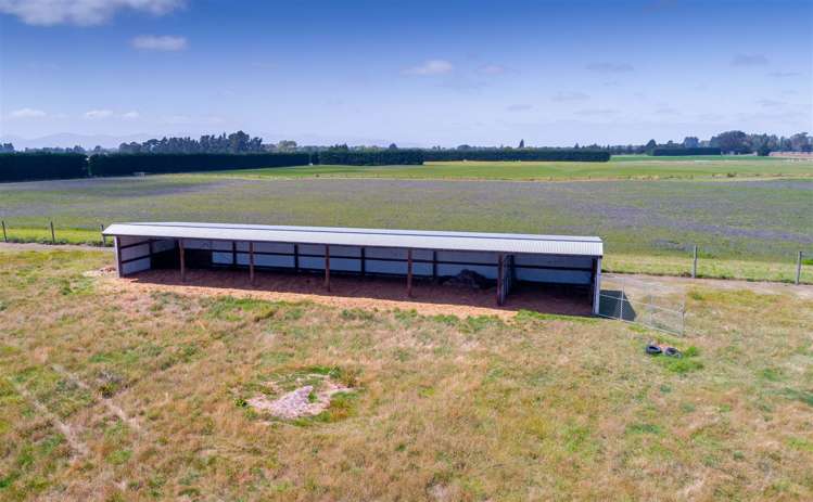 493 Maddisons Road Rolleston_8