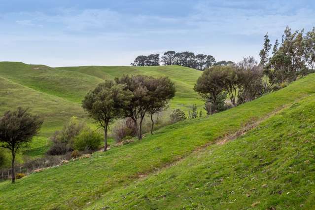 48 Norsewood Ormondville Road Norsewood_4