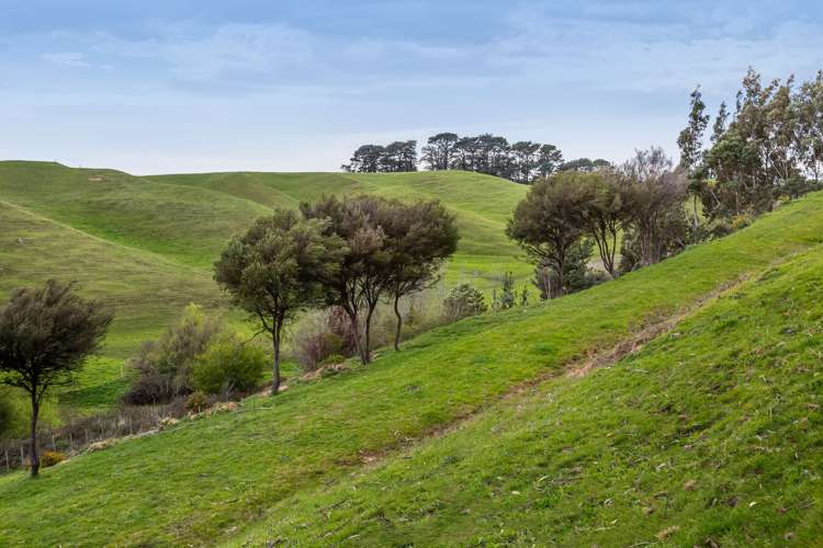 48 Norsewood Ormondville Road Norsewood_4