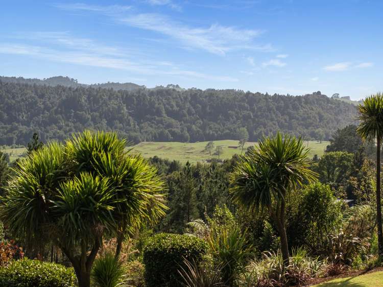 2252 SH29 Lower Kaimai_18