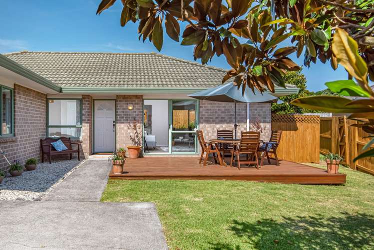 197c Captain Springs Road Onehunga_15