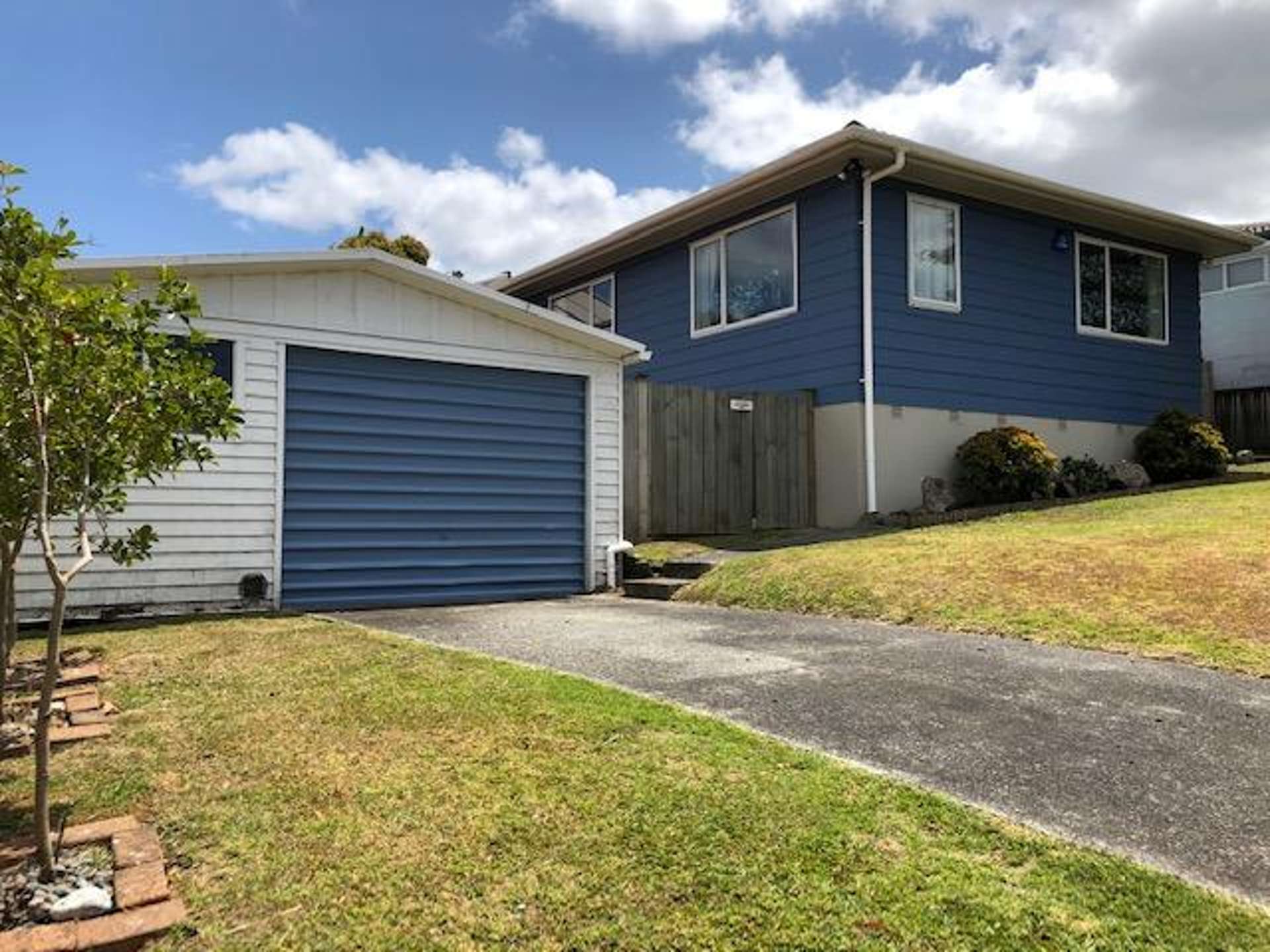 17 Tree View Avenue Glenfield_0