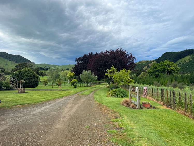 1550 Coast Road Pongaroa_22