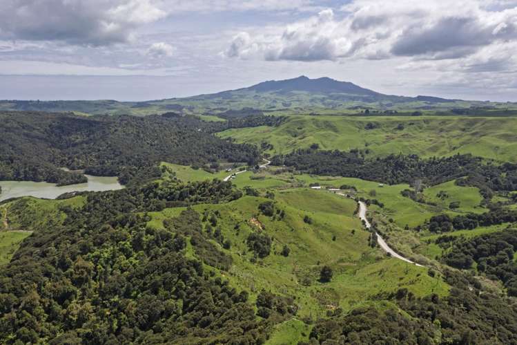 Te Papatapu Road Raglan_19