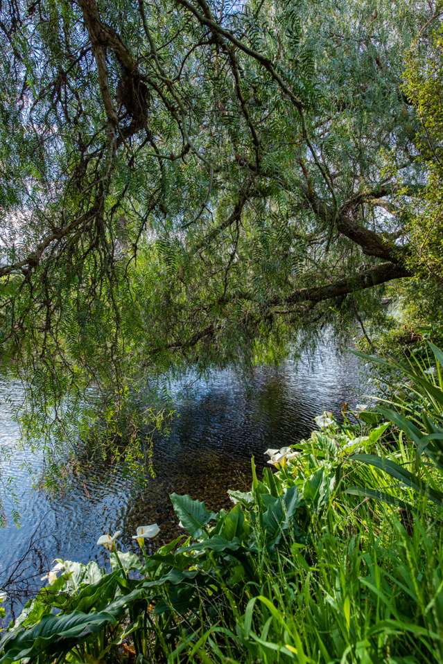 33c Dillons Point Road Islington_1