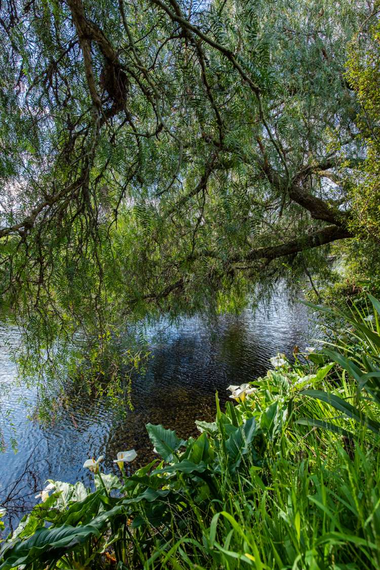 33c Dillons Point Road Islington_1