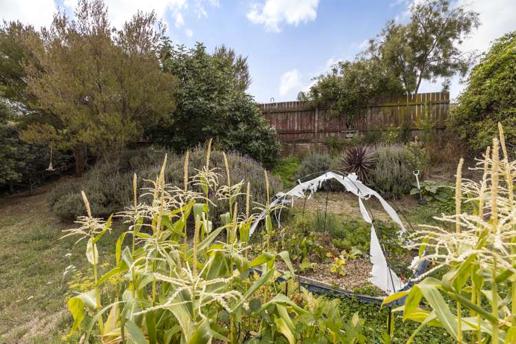 11 Fearon Street Seddon_17