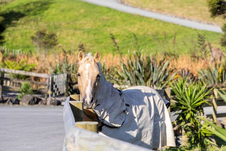 105 Zanders Road Helensville_32
