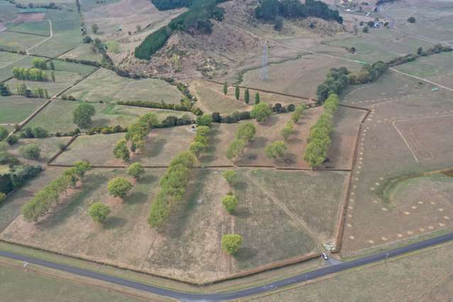 56 Mangatea Road 30 Hectares with Plenty to Offer