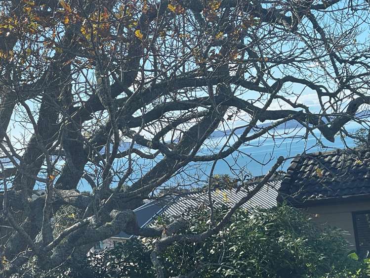 3 View Road Cockle Bay_24