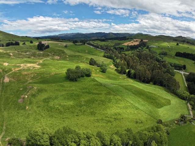 61 Whites Road Waikouaiti_4