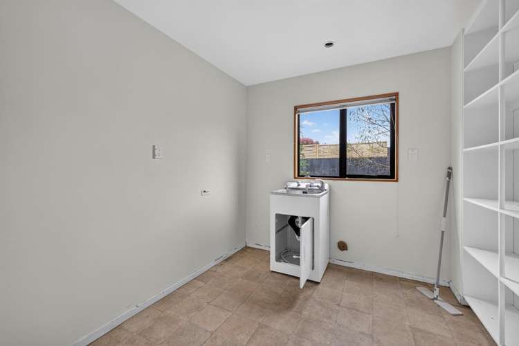55 Lowry Avenue Redwood_21