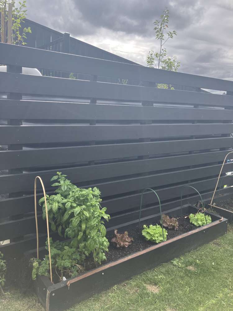 2/19 Ringi Lane Orewa_19