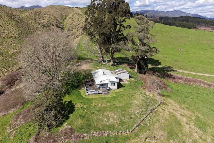 Lot 3/283 Minginui Road Galatea_5