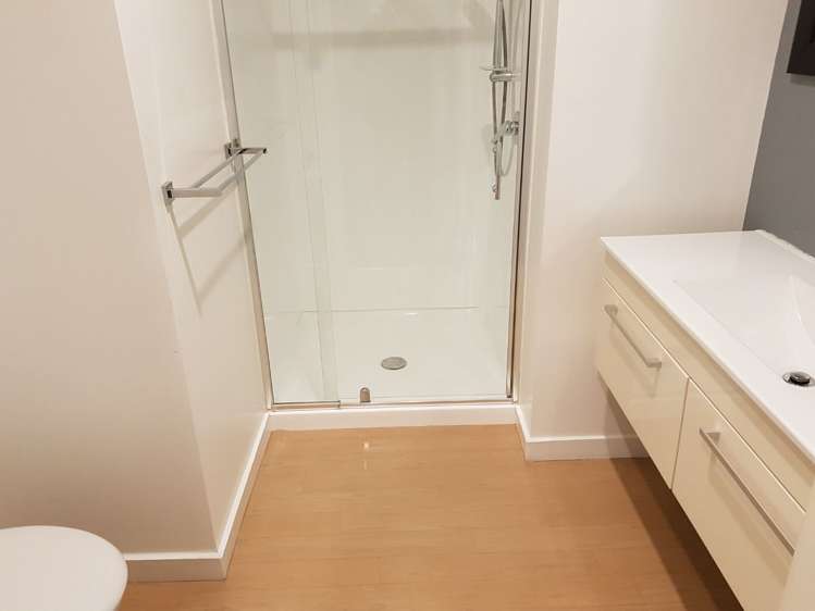 117b Nursery Road Phillipstown_11