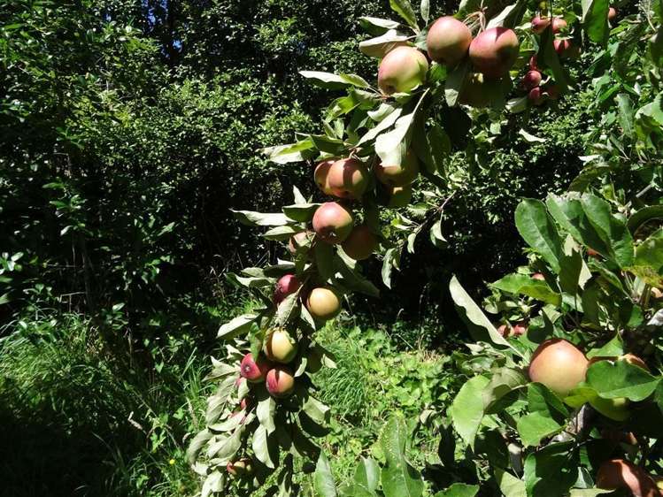 185 Main Road Governors Bay_8