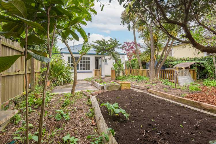 213 Olliviers Road Linwood_18