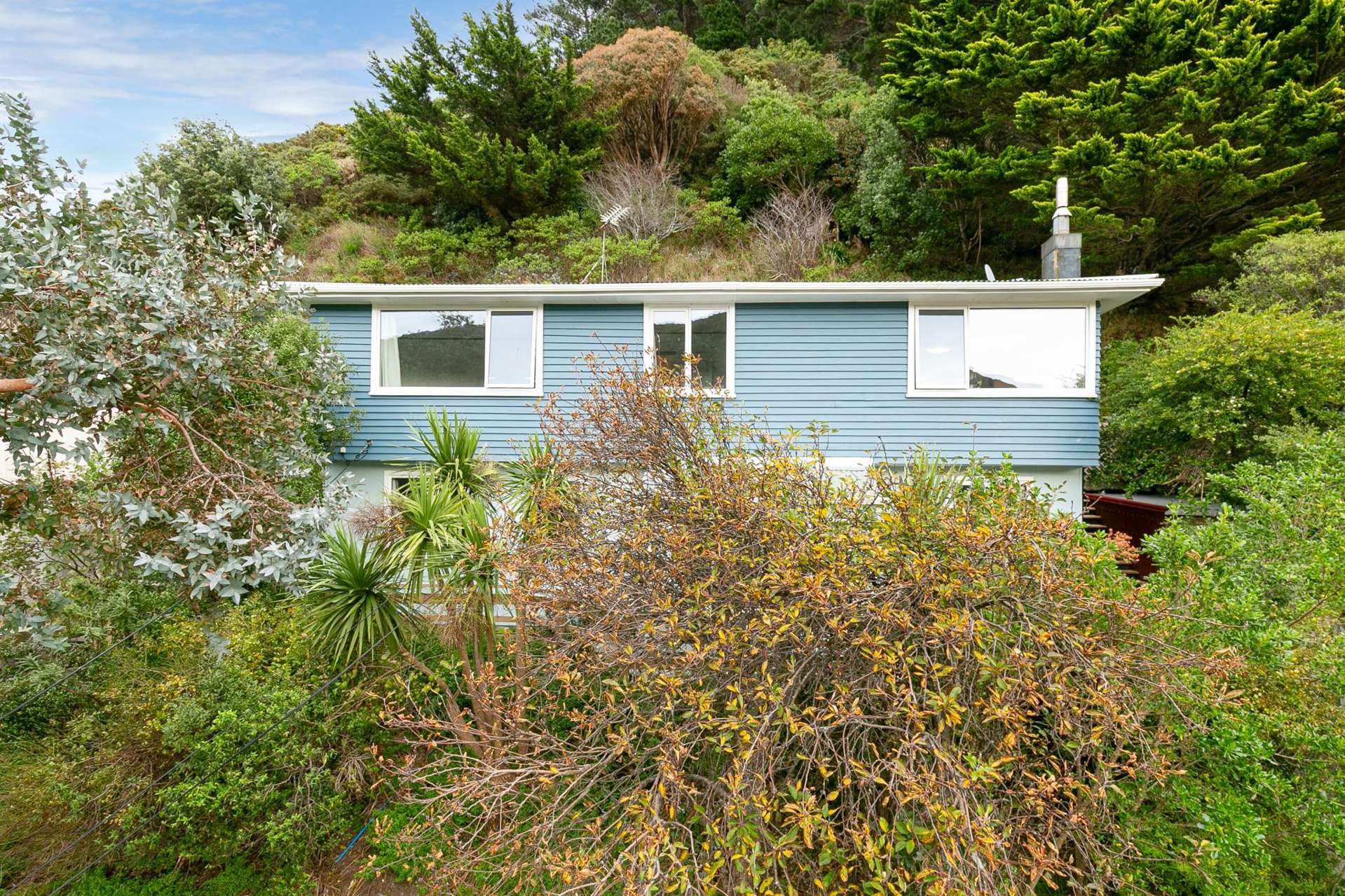 161b Happy Valley Road Owhiro Bay_0