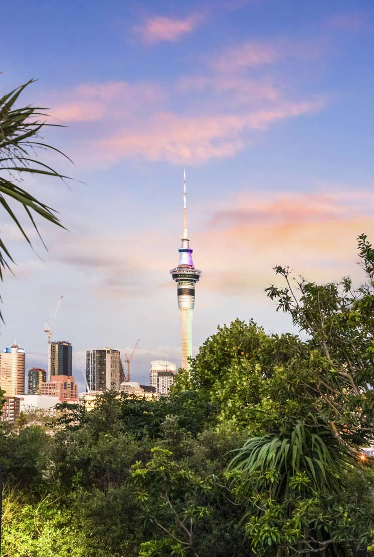 15 Grattan Place Freemans Bay_13